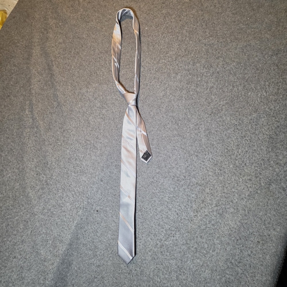 Express Men's Necktie Silver 100% Silk